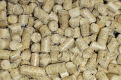 Foxbury biomass boiler costs